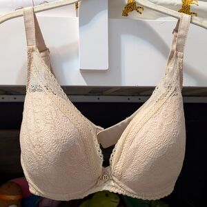 Chauntelle bra - 34dddd